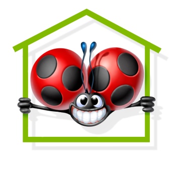 simbolo della coccinella